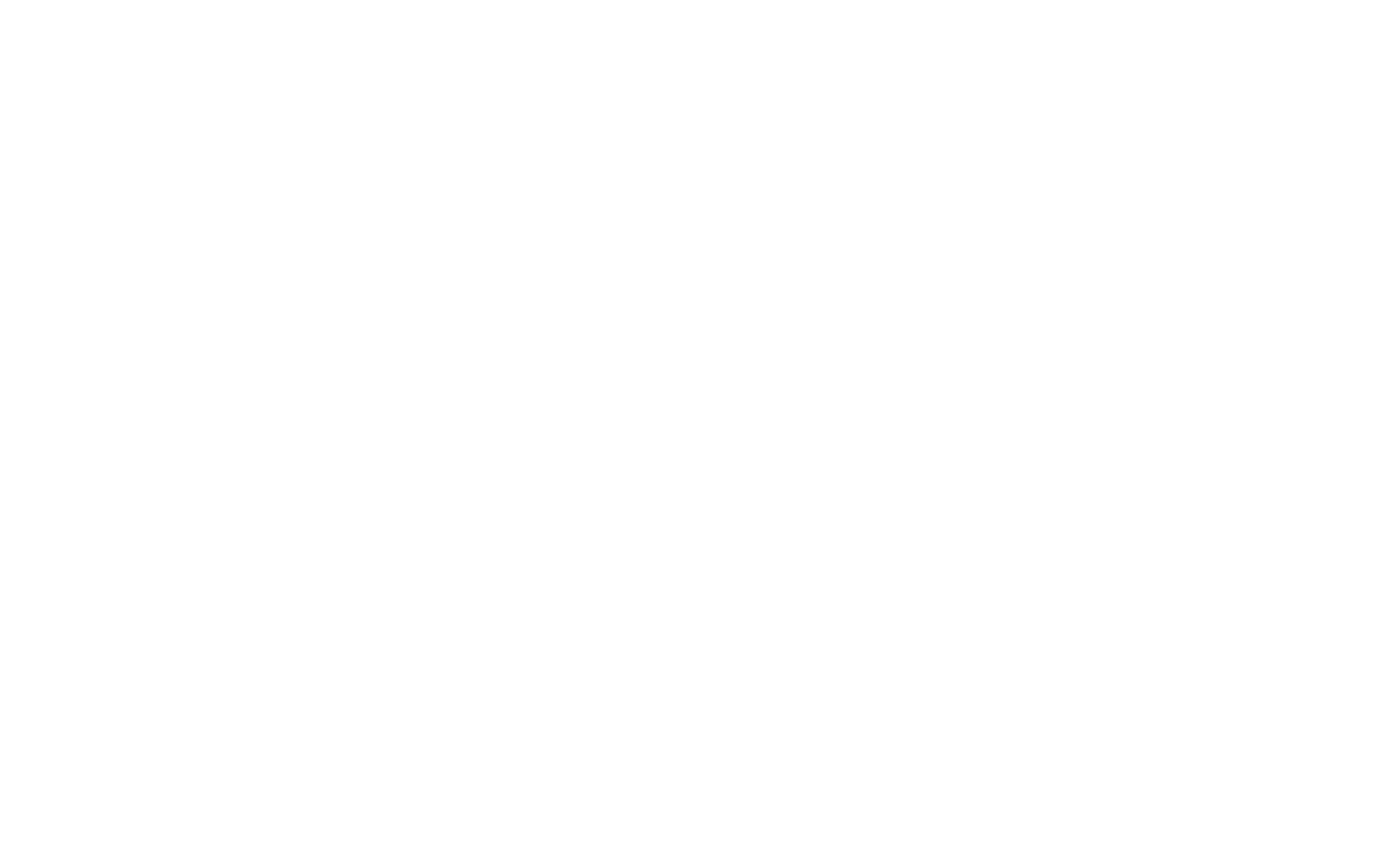 white_logo_beetle4